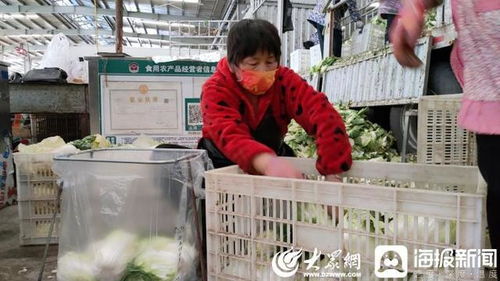 聊城 斷不了菜！記者實地探訪周公河農貿城，日供蔬菜2000噸，新鮮蔬菜零售無憂